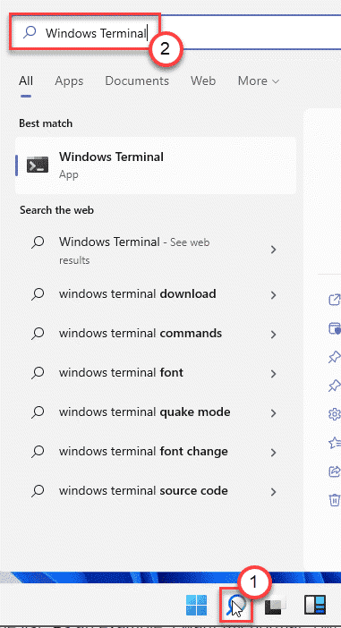 Terminal search box windows 11